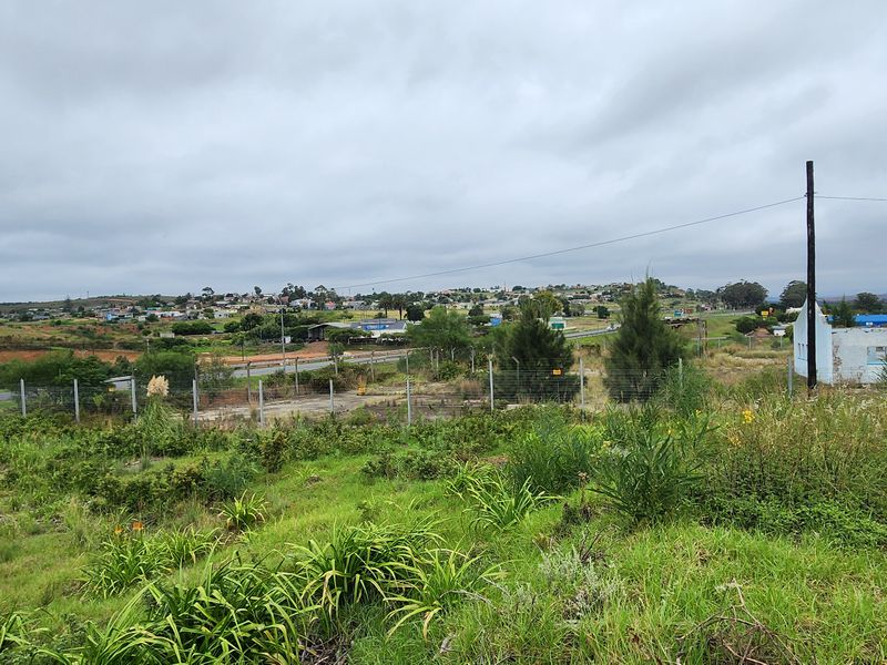 Spacious Vacant Stand with Excellent Development Potential in Swellendam - Photo 10