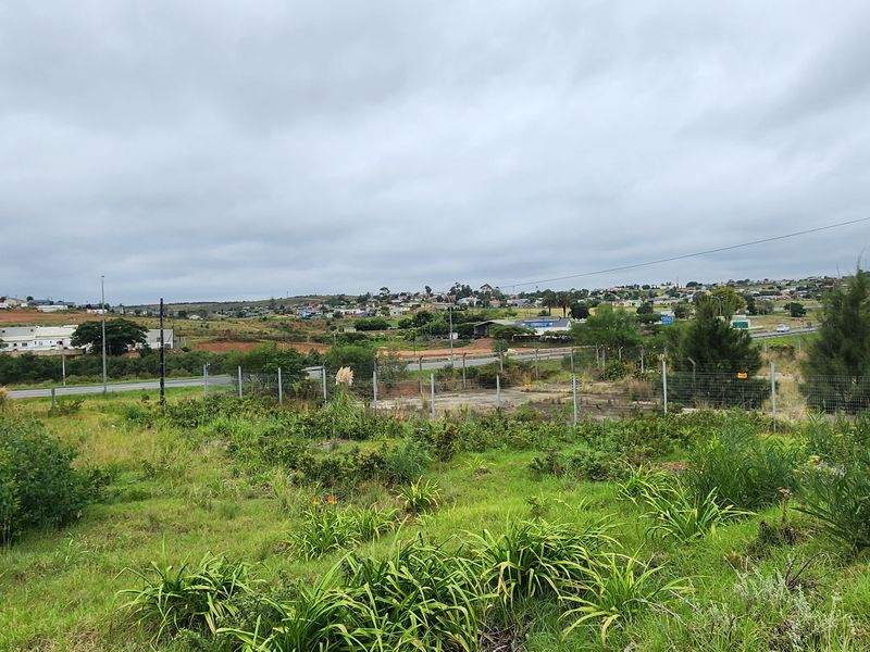 Spacious Vacant Stand with Excellent Development Potential in Swellendam - Photo 9