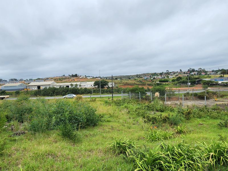 Spacious Vacant Stand with Excellent Development Potential in Swellendam - Photo 8