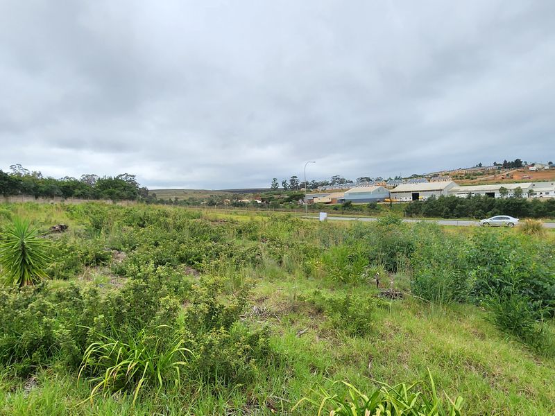 Spacious Vacant Stand with Excellent Development Potential in Swellendam - Photo 7