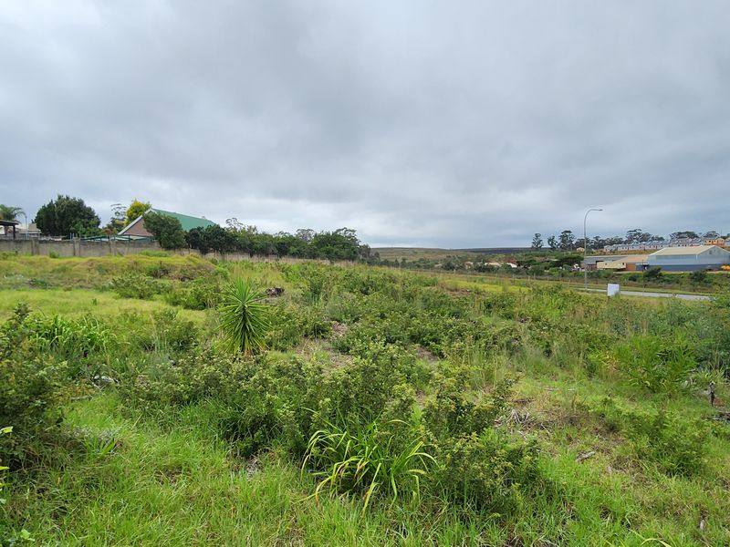 Spacious Vacant Stand with Excellent Development Potential in Swellendam - Photo 6