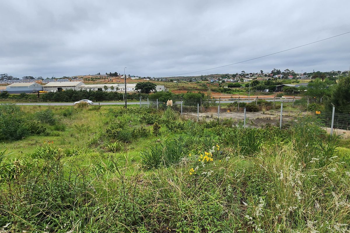 Spacious Vacant Stand with Excellent Development Potential in Swellendam - Photo 2