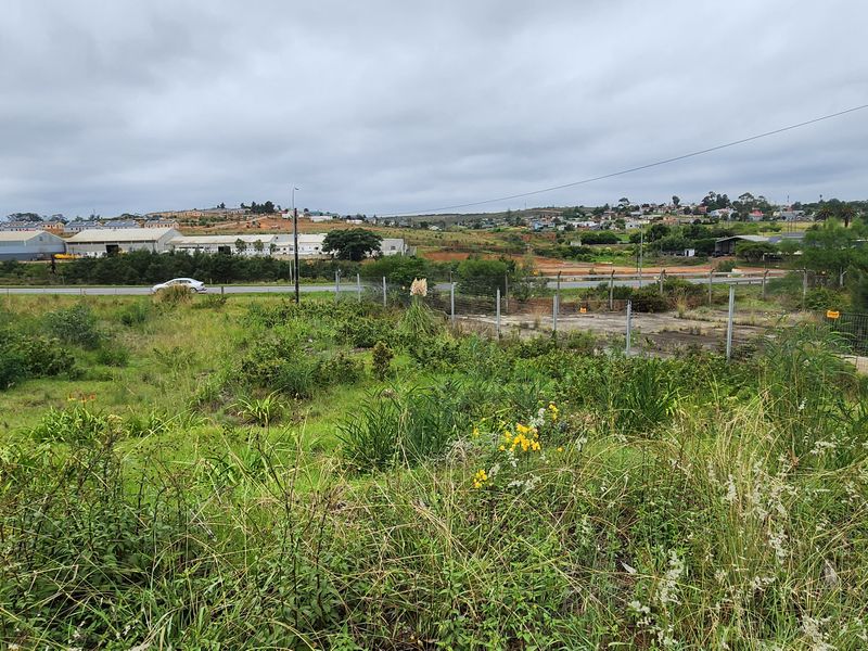 Spacious Vacant Stand with Excellent Development Potential in Swellendam - Photo 2