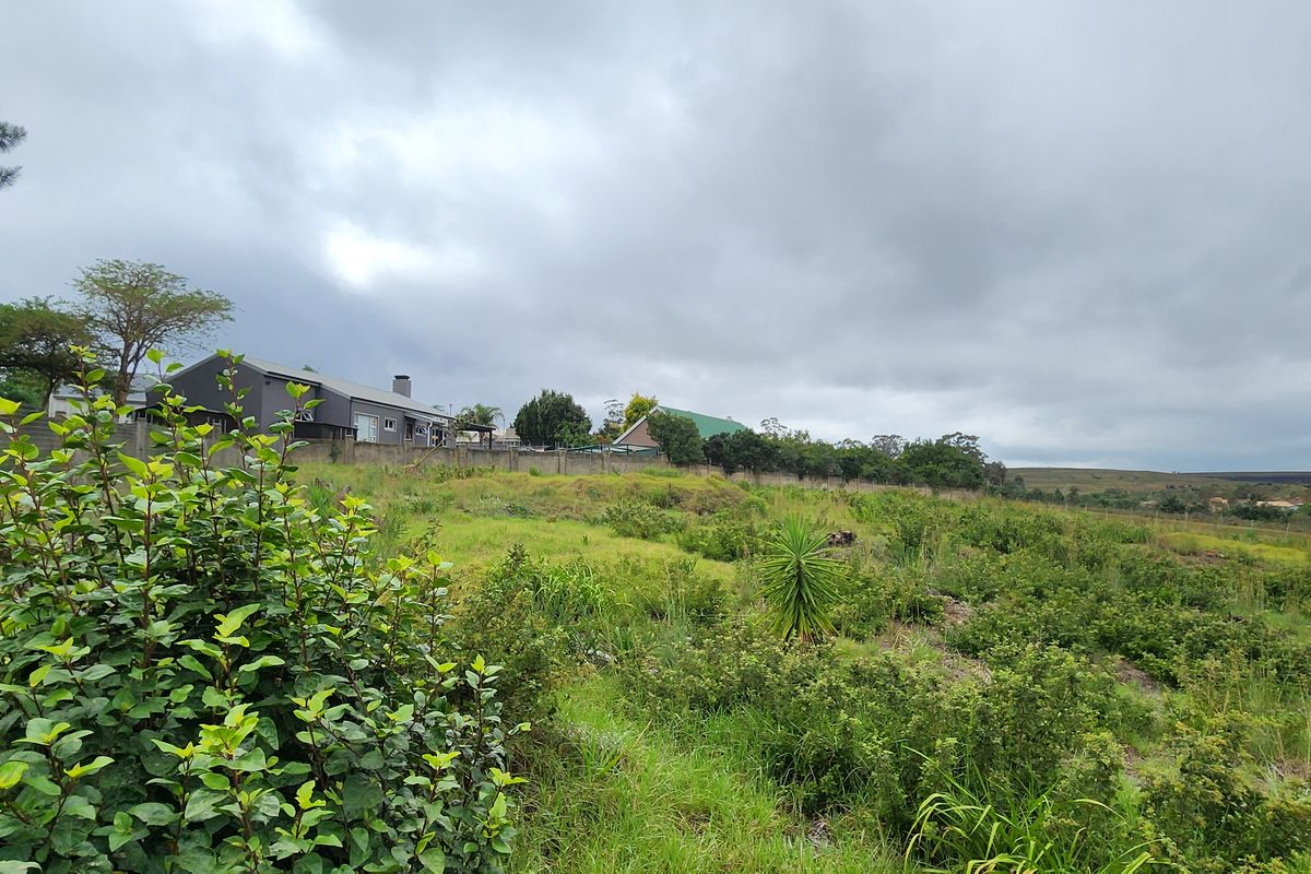 Spacious Vacant Stand with Excellent Development Potential in Swellendam - Photo 5