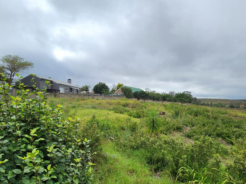 Spacious Vacant Stand with Excellent Development Potential in Swellendam - Photo 5