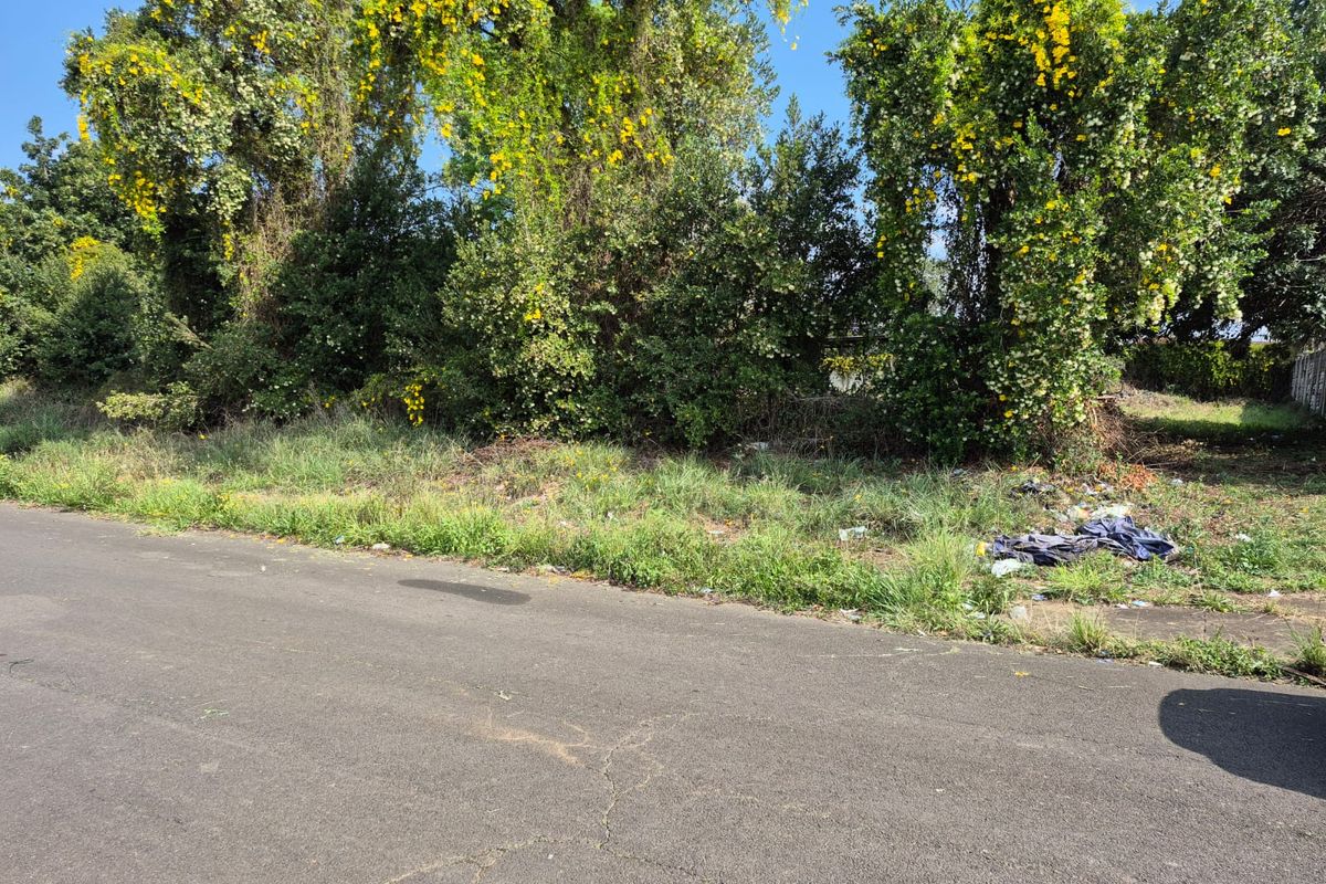 Vacant Land - Photo 4