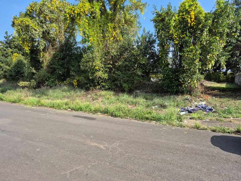 Vacant Land - Photo 4