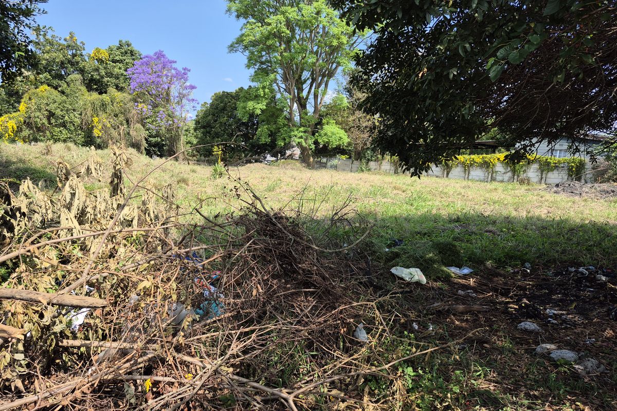 Vacant Land - Photo 2