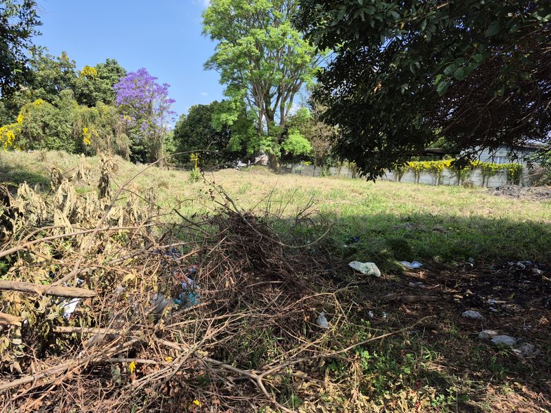 Vacant Land - Photo 2