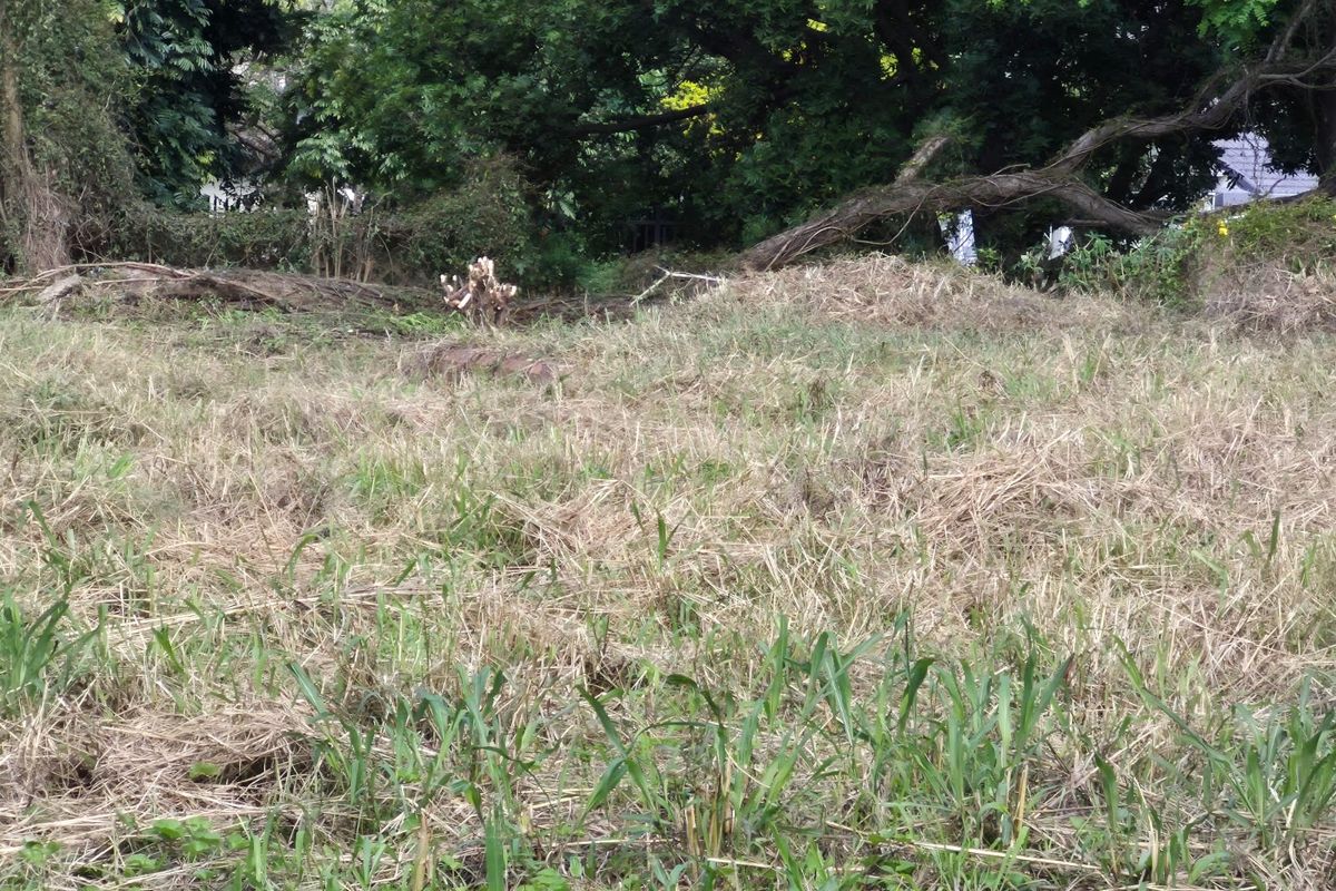 Vacant Land - Photo 5