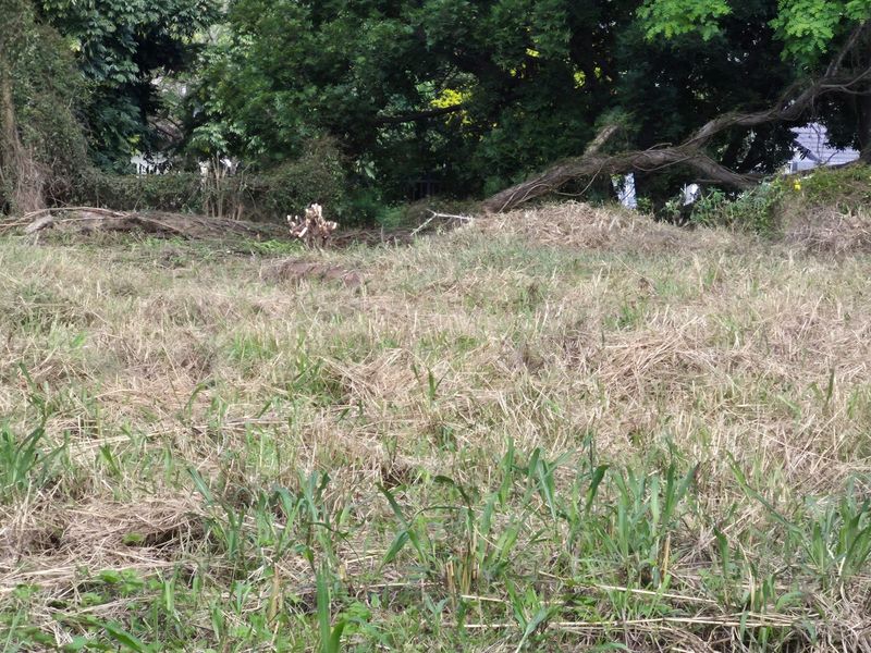 Vacant Land - Photo 5