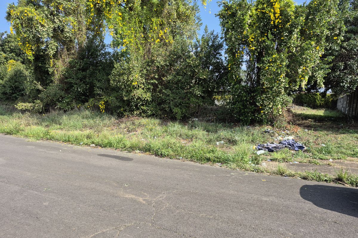 Vacant Land - Photo 3