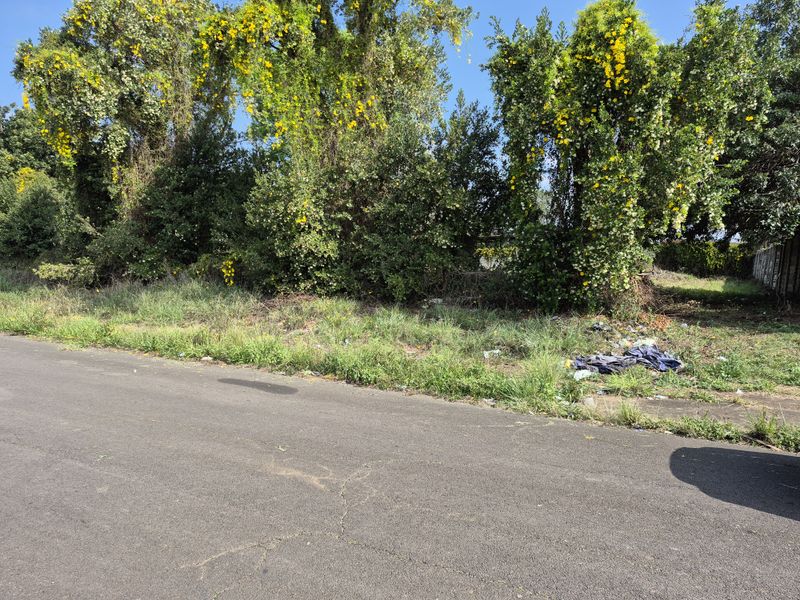 Vacant Land - Photo 3