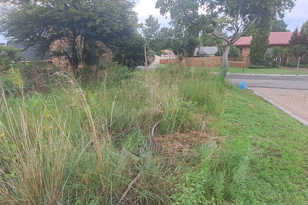 Land to Build Your Dream Home - Photo 3