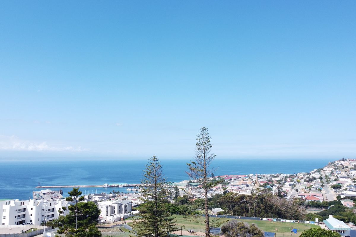 A scenic elevated view overlooking the coastal town, harbour, and ocean horizon.
