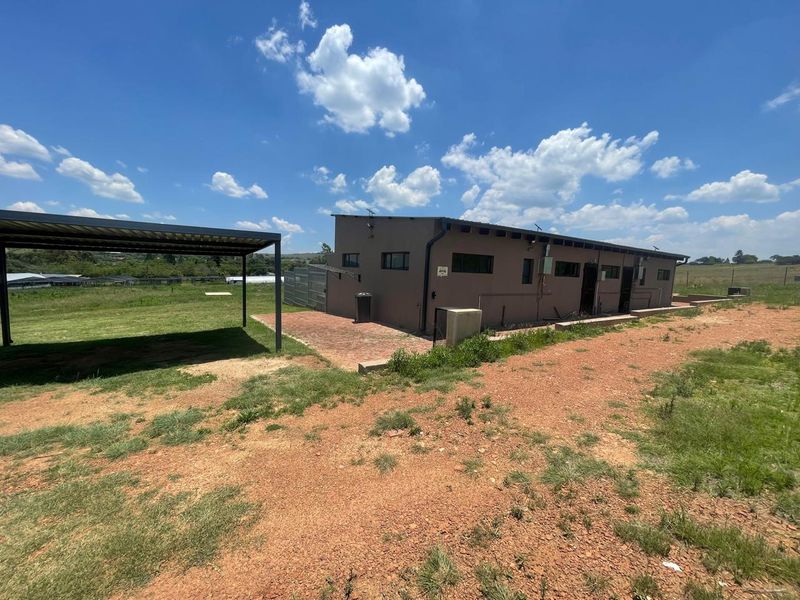 Garden Cottage Rental Monthly In Walkerville - Photo 7