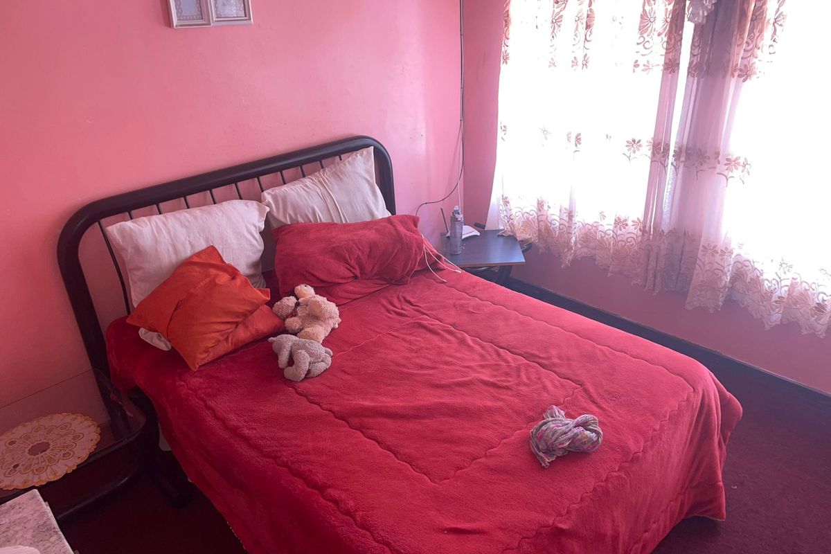 A bedroom featuring pink walls and carpeted flooring, illuminated by natural light through a window with curtains.