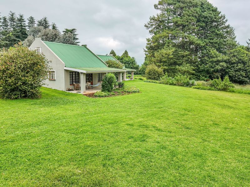 A view of the rear elevation of the house featuring a green metal roof and a covered patio overlooking a spacious, well-maintained garden.