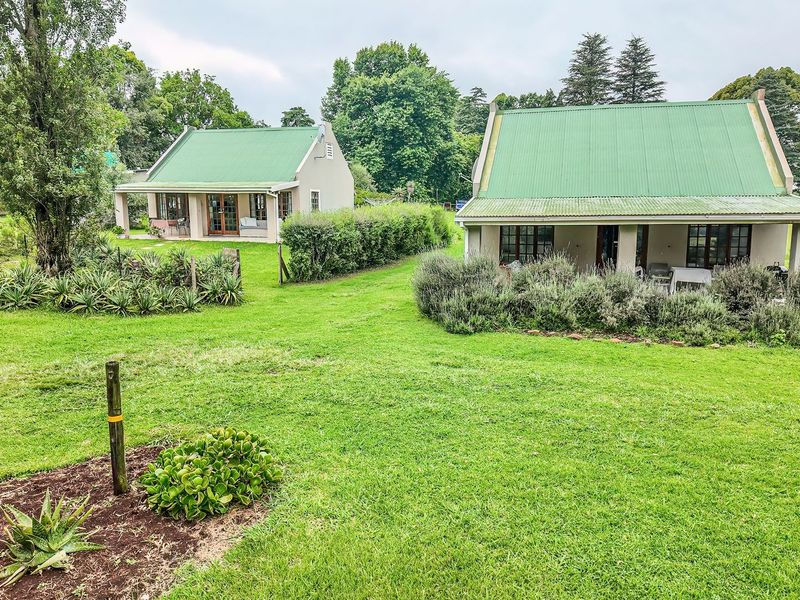 A view of two detached residential cottages featuring green corrugated metal roofs, covered patios, and established garden landscaping.
