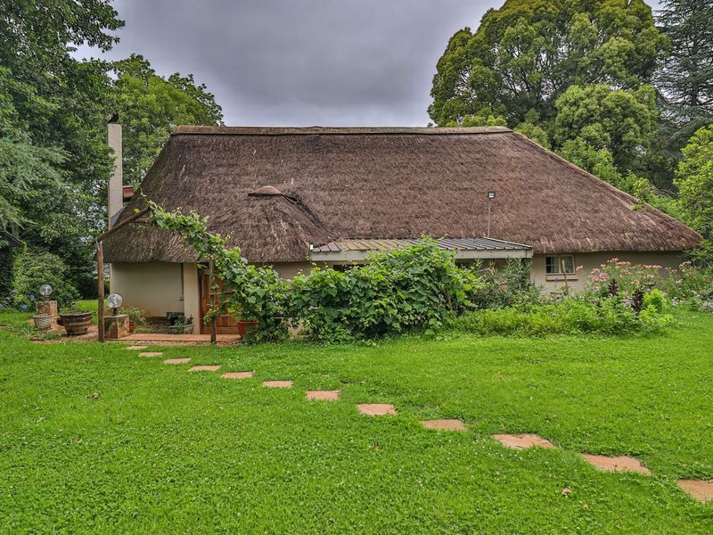 A rear view of a traditional thatched-roof house set within a lush, green garden with a stone pathway leading to the entrance.