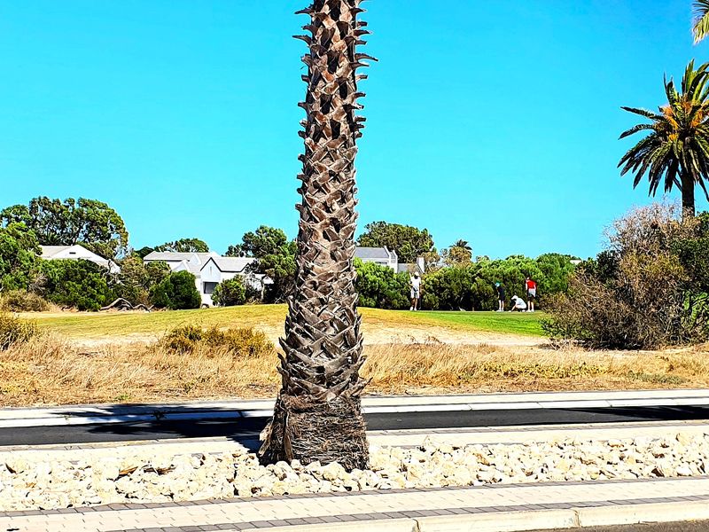 Brand new, light and bright modern home in Shelley Point Coastal Security Golf Estate - Photo 10