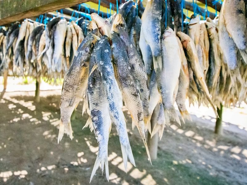 Prime Berg River Location – New Sectional Title Home & Investment Opportunity! - Photo 10