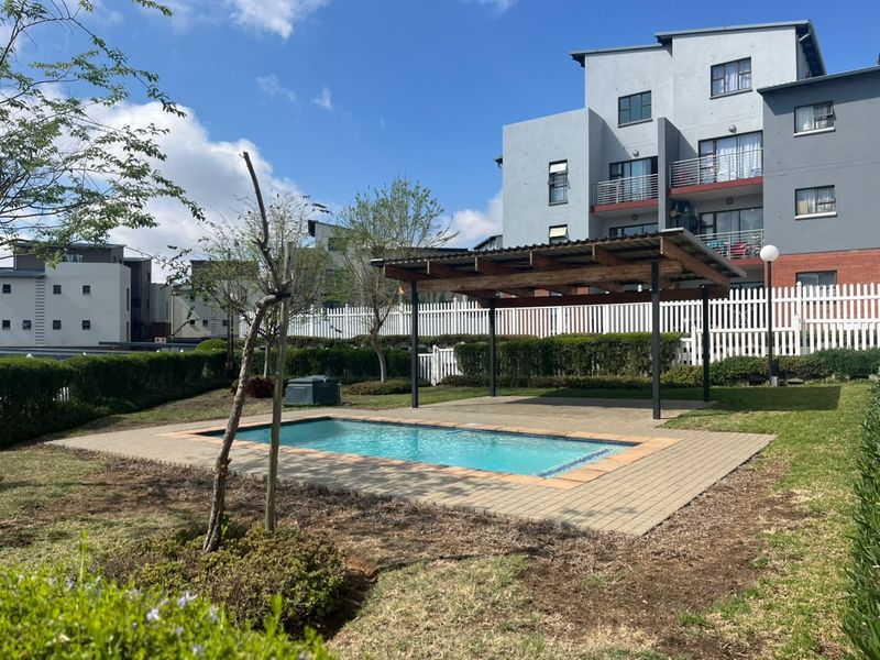 Communal pool area featuring a paved deck, timber pergola, and well-maintained garden surroundings within the apartment complex.