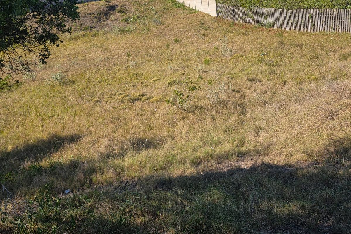 Prime Vacant stand Between Forest, Ocean & Community in Sedgefield - Photo 5