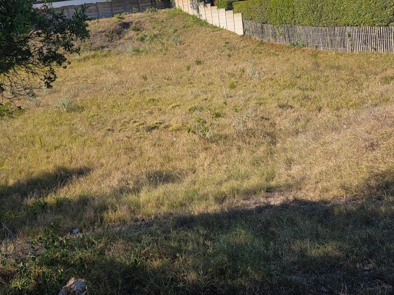 Prime Vacant stand Between Forest, Ocean & Community in Sedgefield - Photo 5