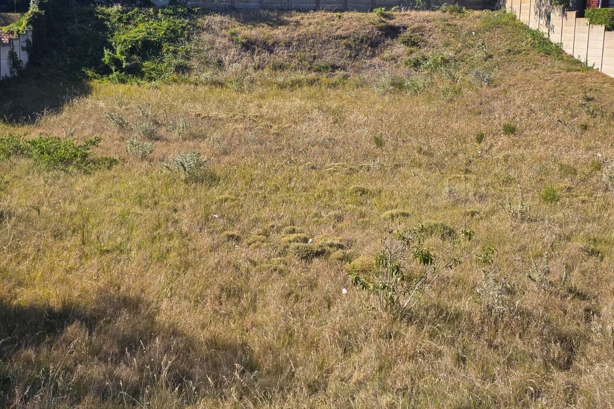 Prime Vacant stand Between Forest, Ocean & Community in Sedgefield - Photo 2
