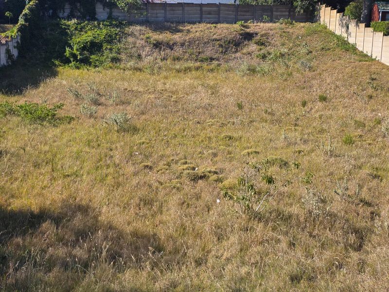 Prime Vacant stand Between Forest, Ocean & Community in Sedgefield - Photo 2