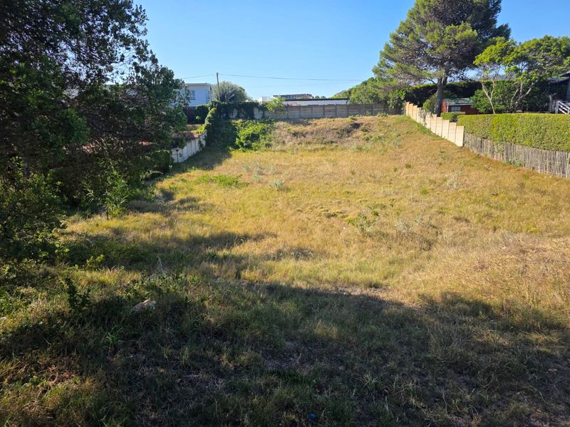 Prime Vacant stand Between Forest, Ocean & Community in Sedgefield - Photo 7