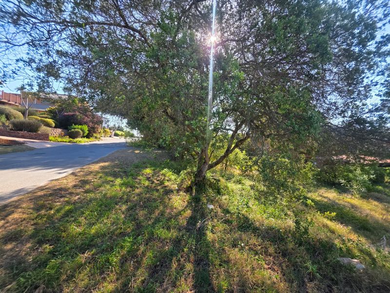 Prime Vacant stand Between Forest, Ocean & Community in Sedgefield - Photo 6