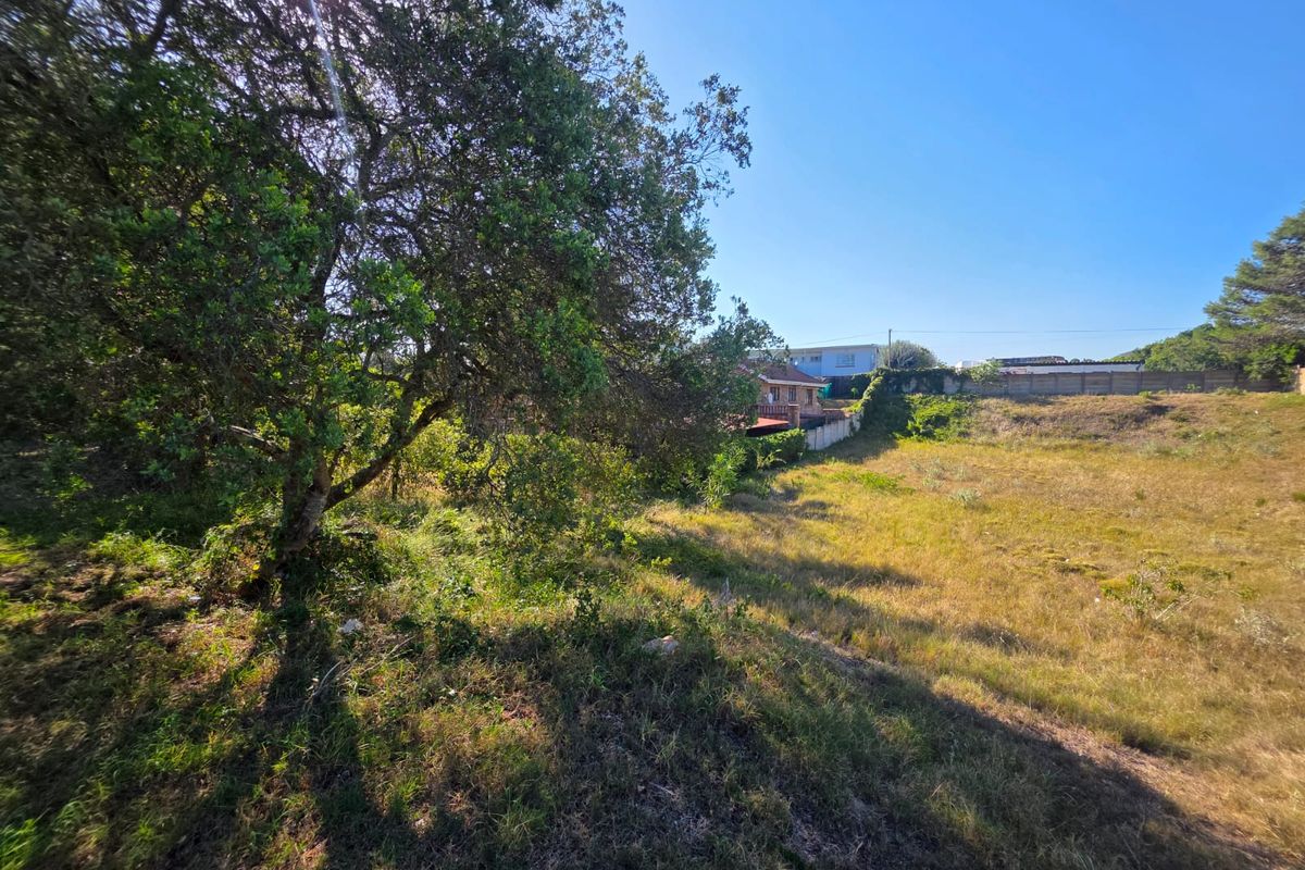 Prime Vacant stand Between Forest, Ocean & Community in Sedgefield - Photo 4