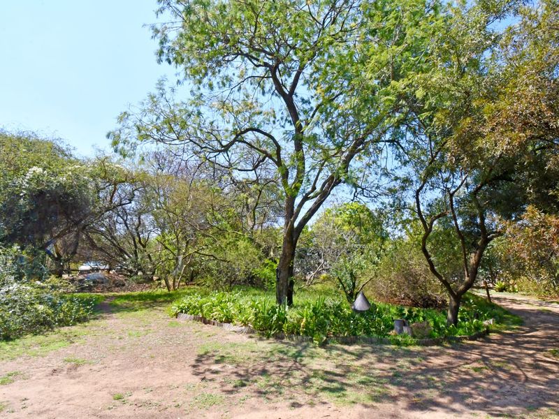 A spacious, mature garden area featuring established trees, natural dirt pathways, and landscaped garden beds.