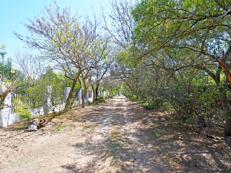 A natural garden pathway lined with mature trees and perimeter fencing, offering a rustic outdoor space with potential for landscaping.