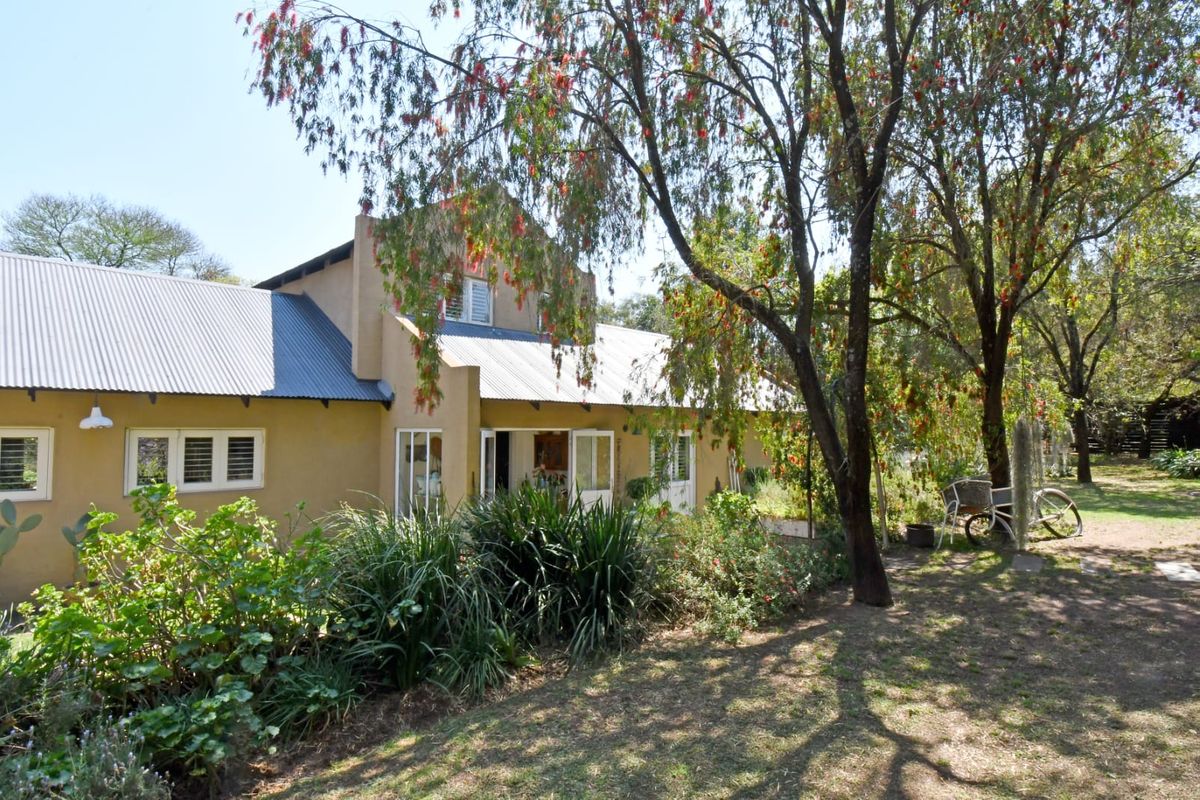 Rear view of a traditional house featuring a corrugated metal roof, plastered walls, and multiple access points through french doors into the garden.