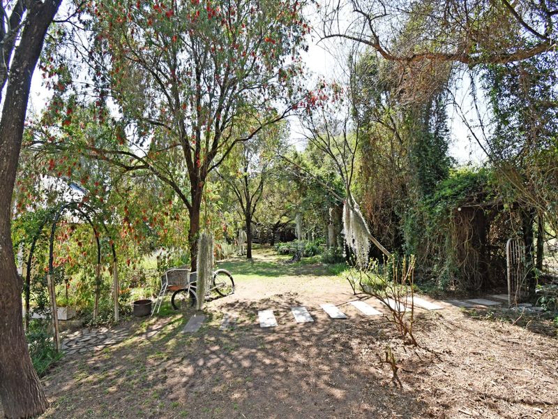 A mature, shaded garden area featuring established trees, a stone pathway, and a metal garden arch.