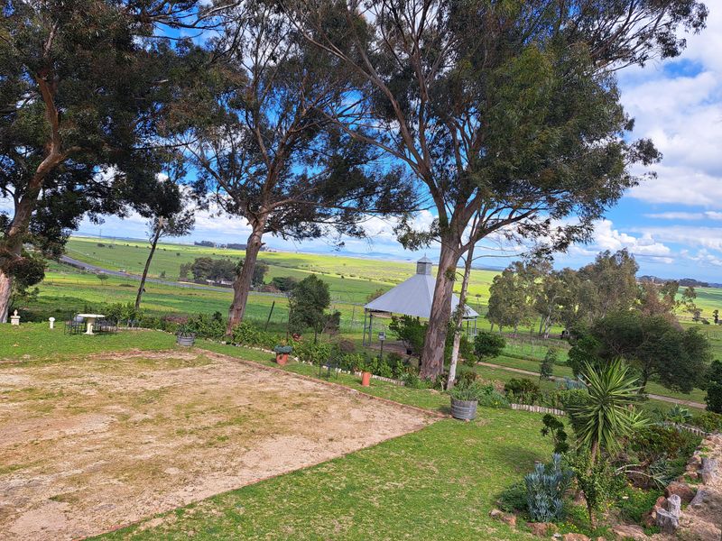 BOUTIQUE WINE BUSINESS - Photo 10