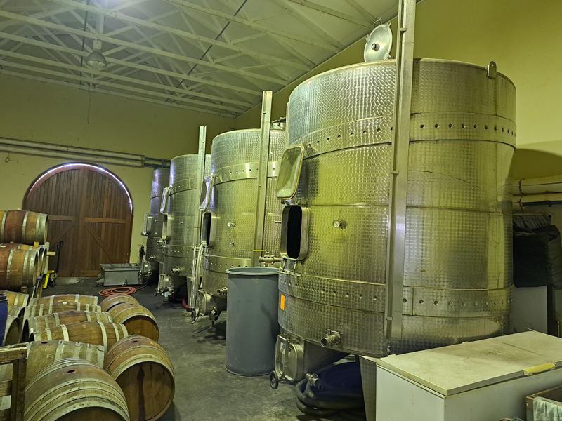 BOUTIQUE WINE BUSINESS - Photo 9