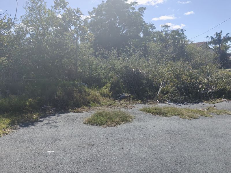 944 SQM PLOT FOR SALE IN WILLOW PARK - Photo 2