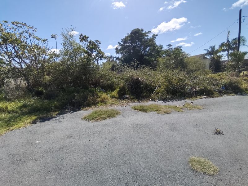 944 SQM PLOT FOR SALE IN WILLOW PARK - Photo 3