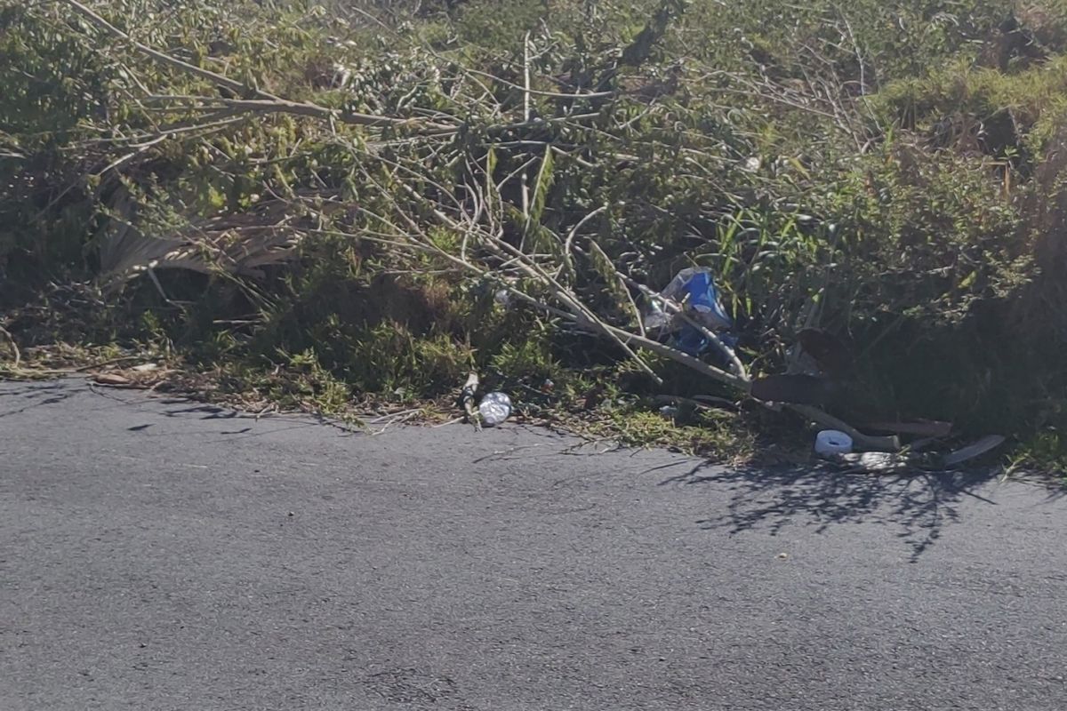 944 SQM PLOT FOR SALE IN WILLOW PARK - Photo 4