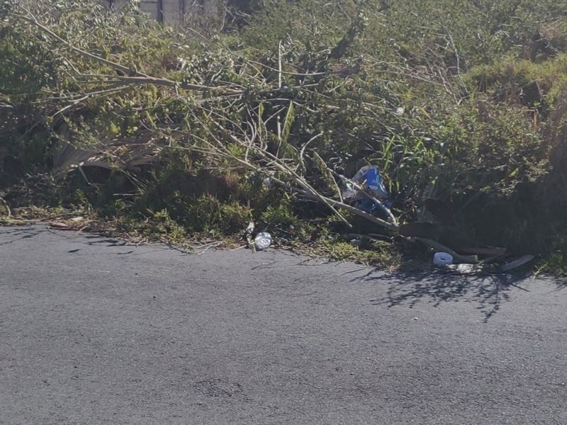 944 SQM PLOT FOR SALE IN WILLOW PARK - Photo 4