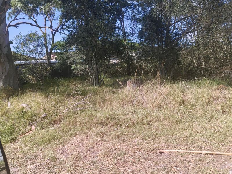 944 SQM PLOT FOR SALE IN WILLOW PARK - Photo 9