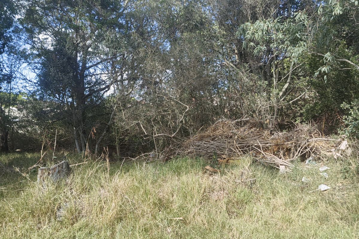 944 SQM PLOT FOR SALE IN WILLOW PARK - Photo 5