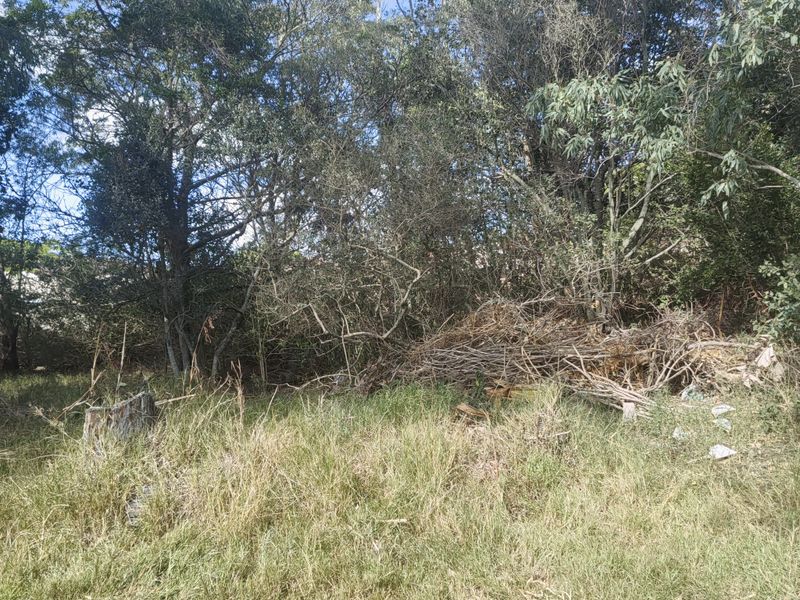 944 SQM PLOT FOR SALE IN WILLOW PARK - Photo 5