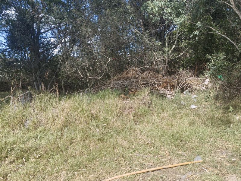 944 SQM PLOT FOR SALE IN WILLOW PARK - Photo 7