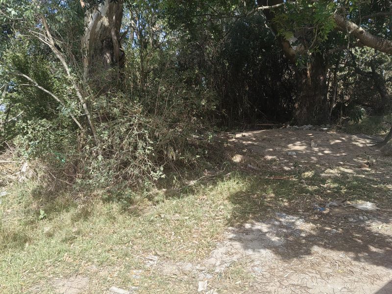 944 SQM PLOT FOR SALE IN WILLOW PARK - Photo 8