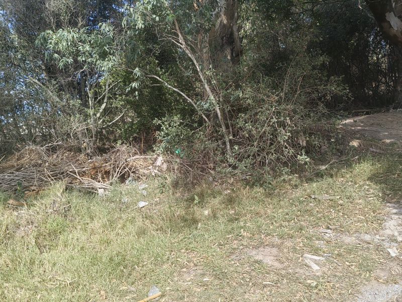 944 SQM PLOT FOR SALE IN WILLOW PARK - Photo 6